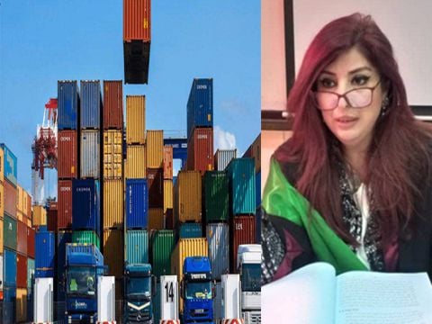 باحثة اقتصادية: القرار الجديد لإجازات الاستيراد يسهل عمل المستوردين