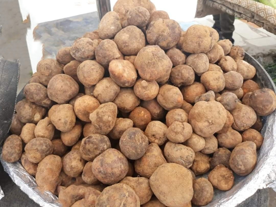 لأول مرة.. الكمأة غائبة عن الأسواق
