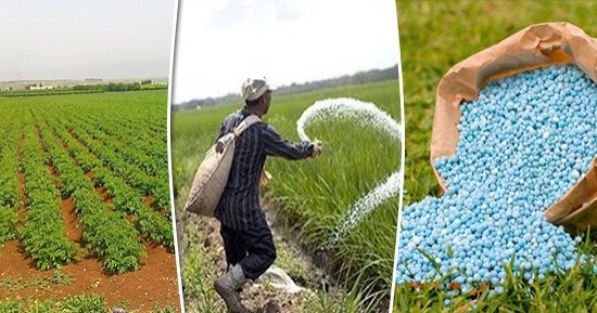 مادة جديدة تعلق على مشجب الأزمة الأوكرانية