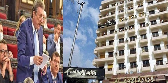 عضو مجلس شعب