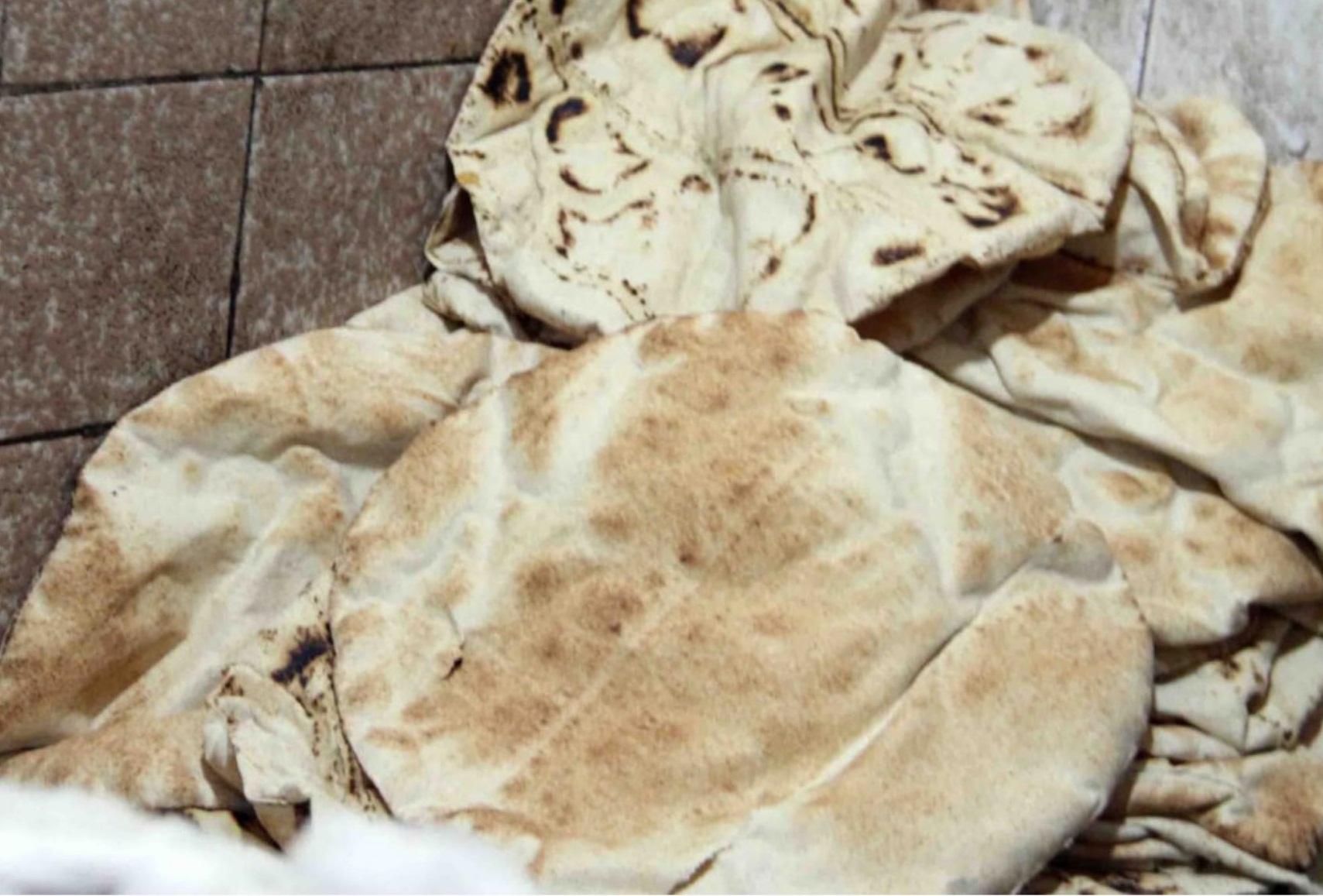 لهذا لن ينتج رغيفاً بمواصفات جيدة!