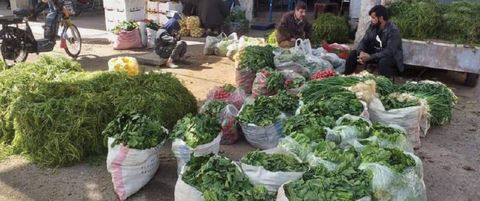 رئيس لجنة سوق الهال: انخفاض ملحوظ في أسعار الخضر والفواكه ...السبب عدم إقبال الناس على الشراء