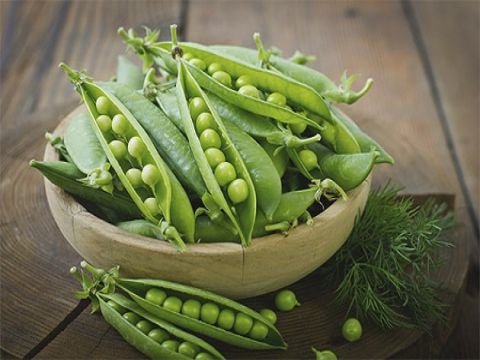 بسبب التقنين الكهربائي.. السوريون يتجهون لتيبيس المونة بدلاً من التفريز
