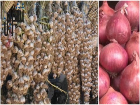 هل رفع قرار السماح بتصدير الثوم والبصل أسعارها داخلياً؟
