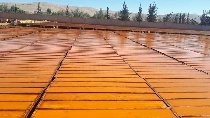 في مقدمتها قمر الدين .. 28.2 مليون دولار صادرات غرفة زراعة دمشق هذا العام