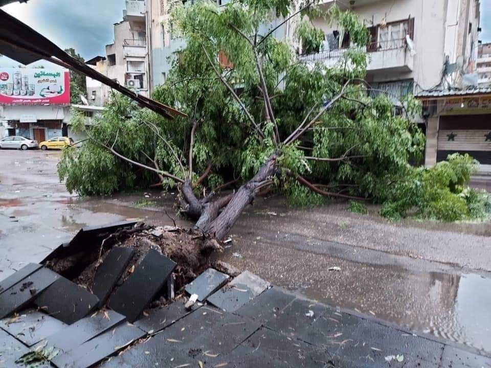 أكاديمي: ما حصل في سوريا “إعصار” واحتمالية تكراره أمراً ممكناً
