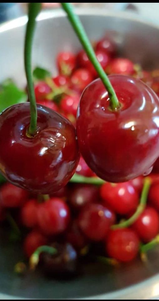 حبة الكرز بـ300 دولار