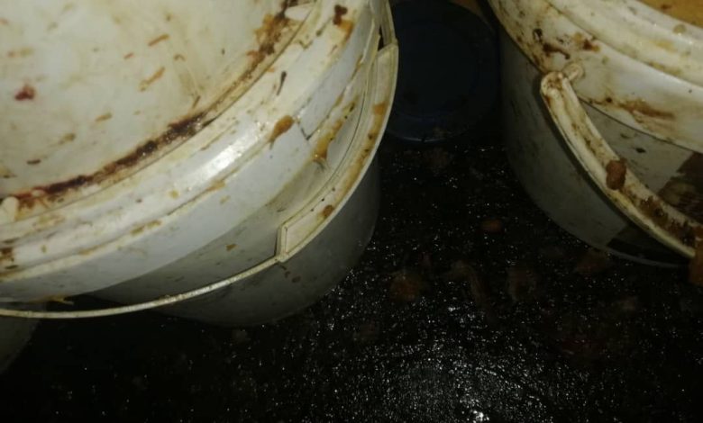 حشرات في محل ألبان وأجبان