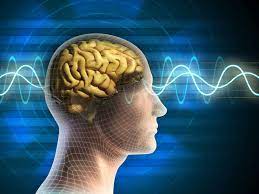 علماء شيخوخة يكشفون عن عادات سيئة تدمر الدماغ