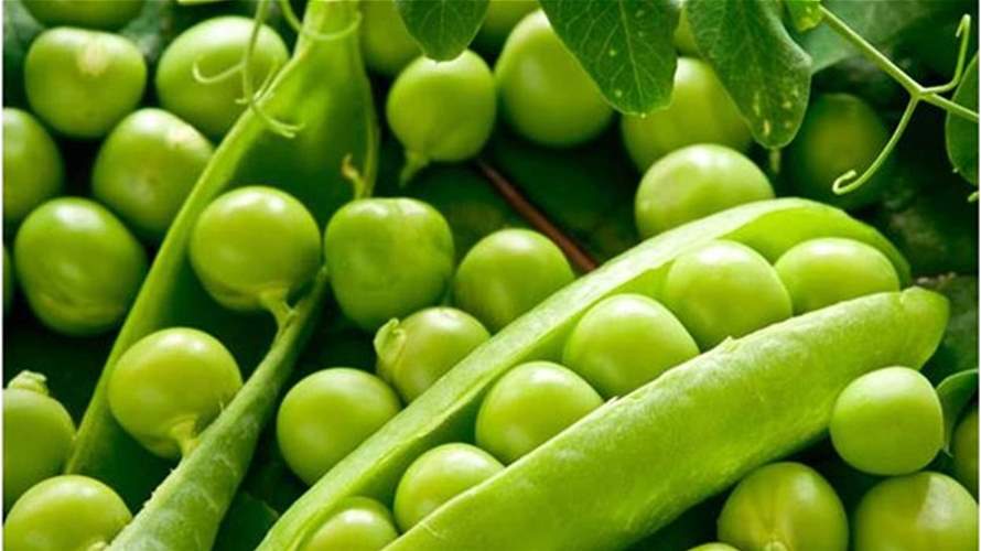 الثوم والبصل والبازيلاء من جبل الشيخ… مدير السورية للتجارة بريف دمشق : الأسعار منافسة لسوق الهال