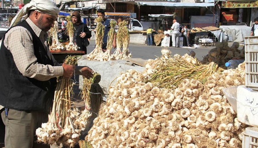 الثوم الصيني ينافس البلدي بعد تجاوزه عتبة الـ 20 ألف.. ما سبب شح الكميات في السوق؟