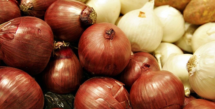 لماذا تتكرر أزمات الثوم والبصل وغيرها من السلع في الأسواق هل نجحت الخطة الإنتاجية الزراعية أم إنها مجرد حبر على ورق؟