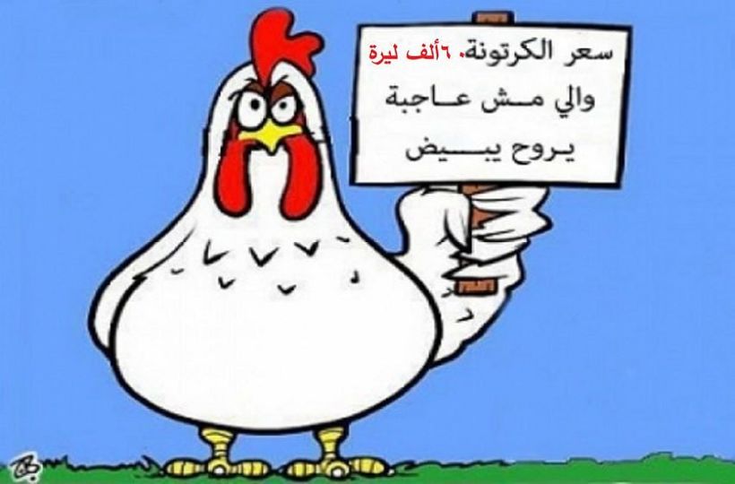أمين سر جمعية حماية المستهلك يكشف حقيقة ارتفاع سعر البيض