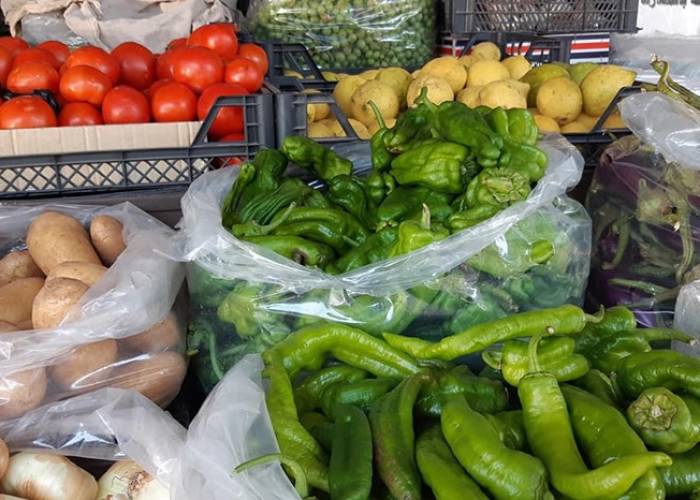 افتتاح موسم الخضر الخريفية بأسعار نارية… عضو لجنة تجار ومصدري الخضر والفواكه بدمشق : دعم المزارعين لتجنب الاستيراد في الأعوام القادمة